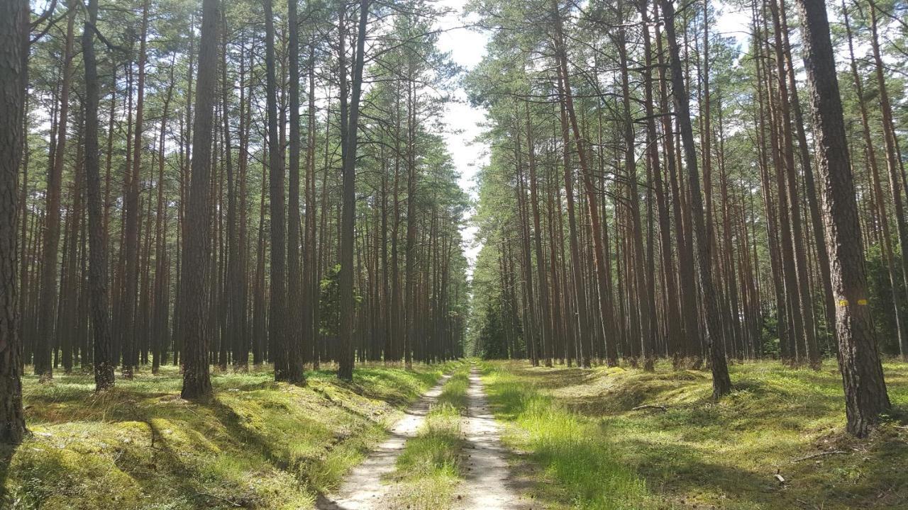 Borywood Villa Male Gacno Exteriör bild