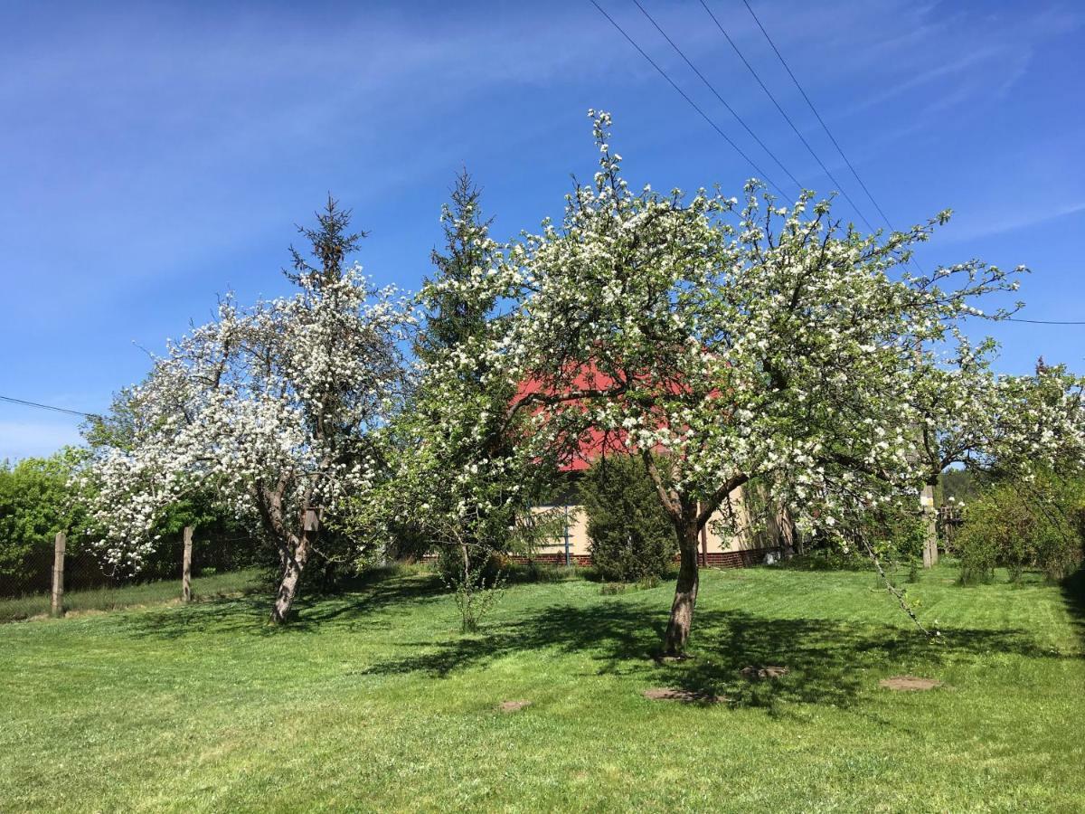 Borywood Villa Male Gacno Exteriör bild