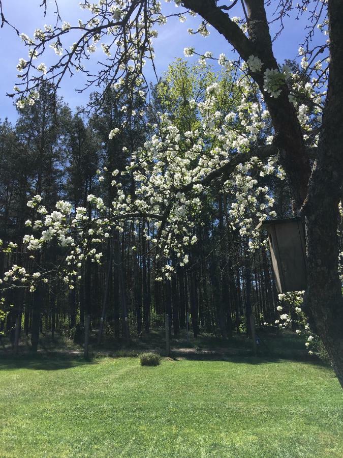 Borywood Villa Male Gacno Exteriör bild